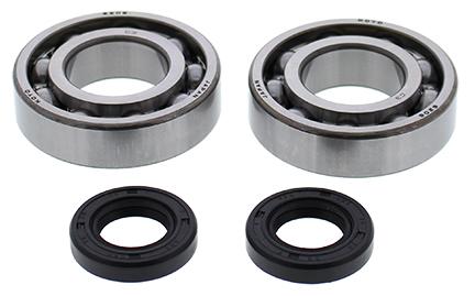 All Balls Racing Crankshaft Bearing & Seal Kit Beta, Allballs 24-1122