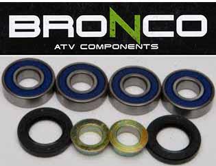 Bronco Rear Independent Suspension, Bronco at-04560