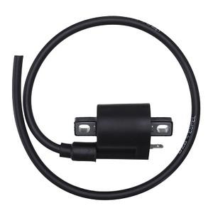 DZE Electrics Coil Ignition Dze 10179-04