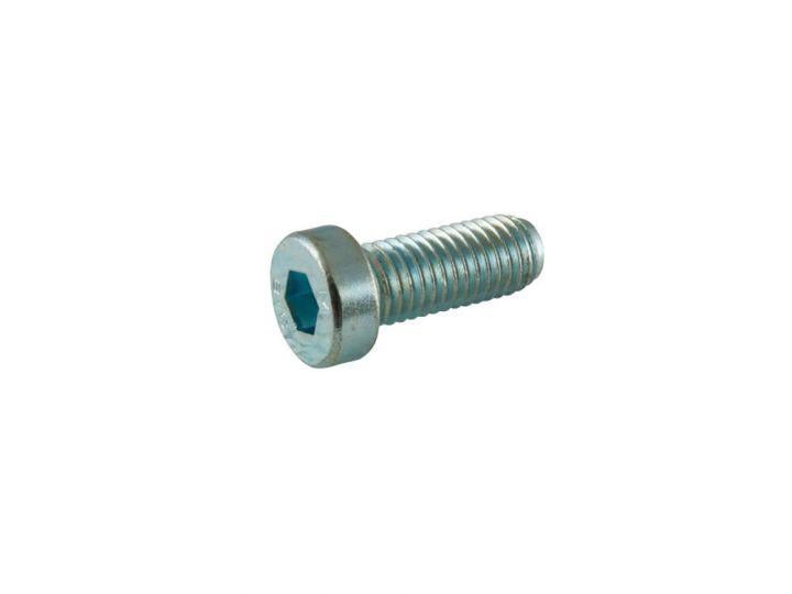 Rtech Plastics M10x25 Cap Bolt Shallow Head, R-vtbrrb10x25 Pack / 8pcs, Metric Coarse M10x1.50mm