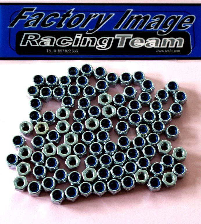 Tag-z Nylock M6 Nut Pack/100, Slim6x10mm