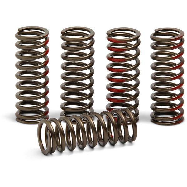 Pro Circuit  Clutch springs Honda CRF450R 13-20
