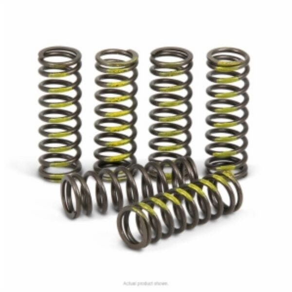 Pro Circuit  Clutch springs Suzuki RM-Z450 2005-2019